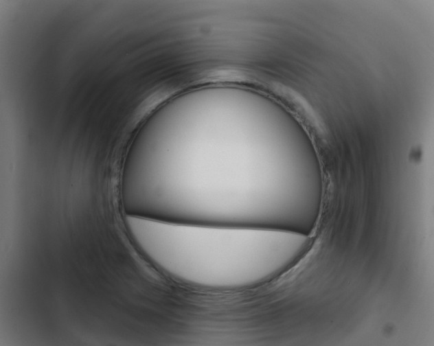 X0000103421225200809121005