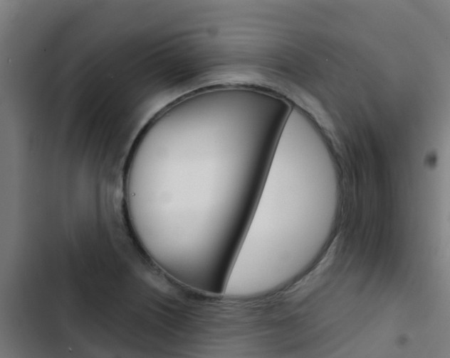 X0000103421226200809121005