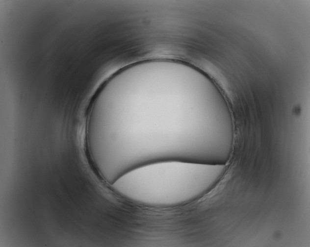X0000103421227200809121005