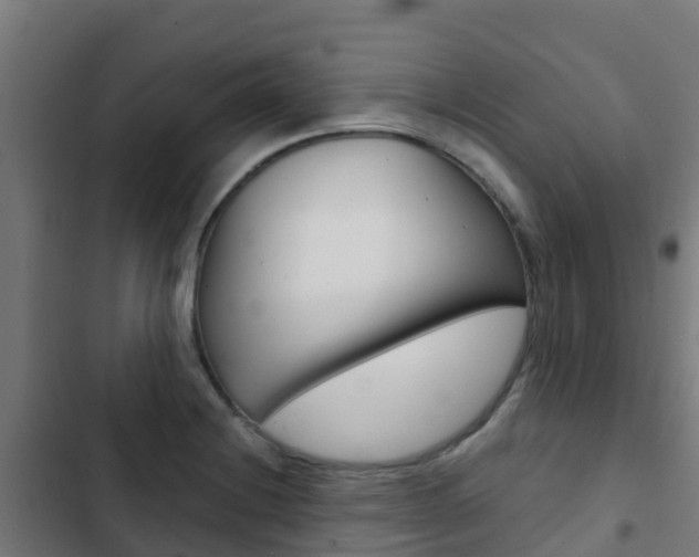 X0000103421228200809121005