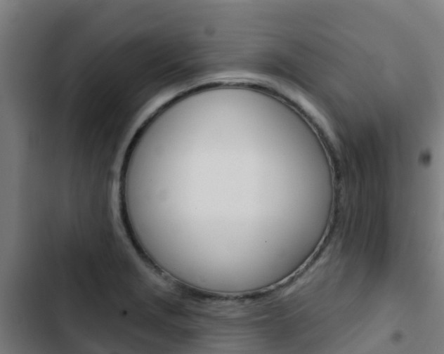 X0000103421229200809121005