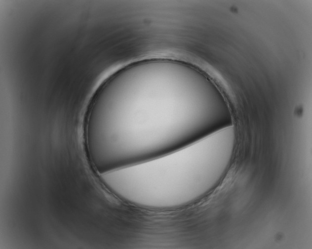 X0000103421230200809121005