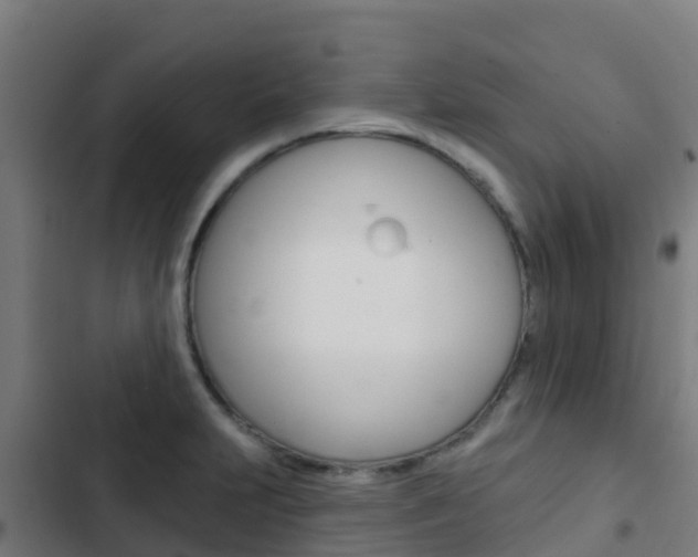X0000103421231200809121005
