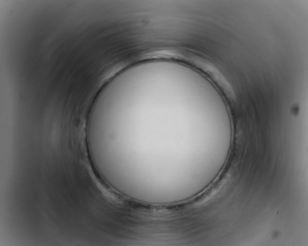X0000103421233200809121005