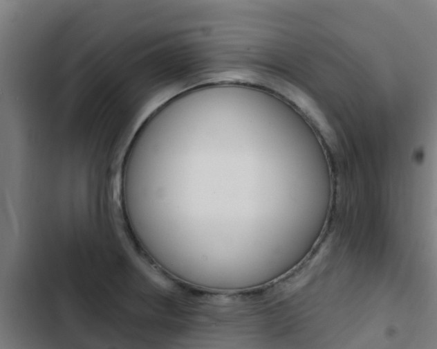 X0000103421234200809121005