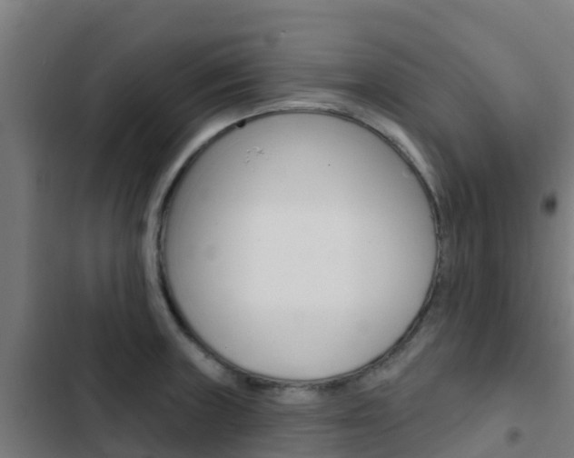 X0000103421235200809121005