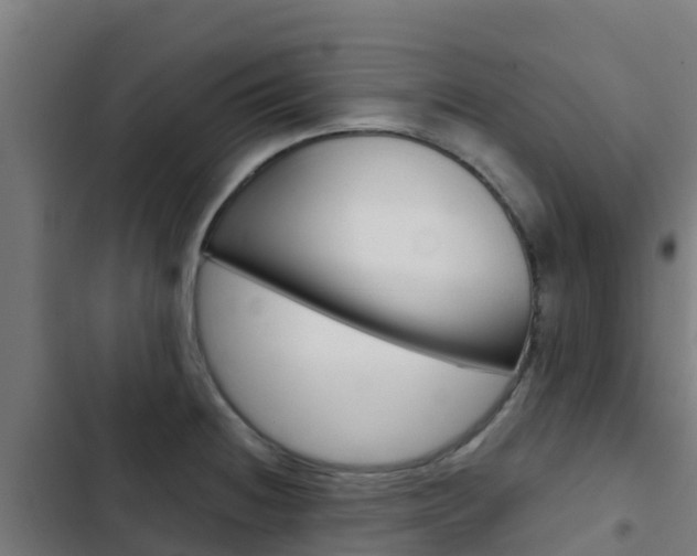 X0000103421236200809121005