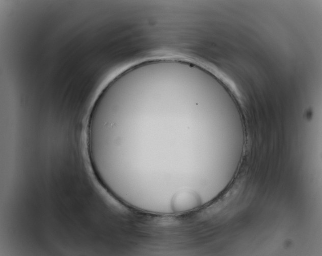X0000103421239200809121005
