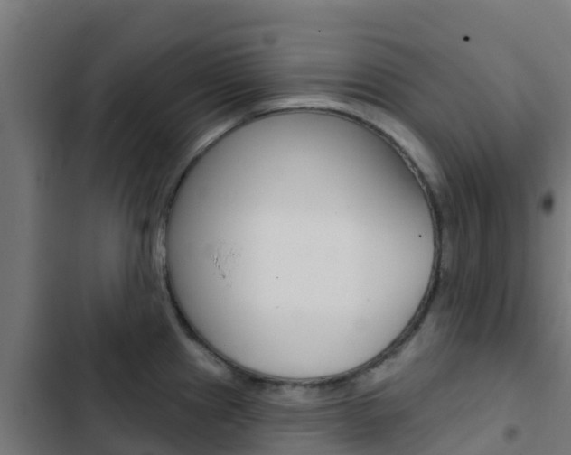 X0000103421241200809121005