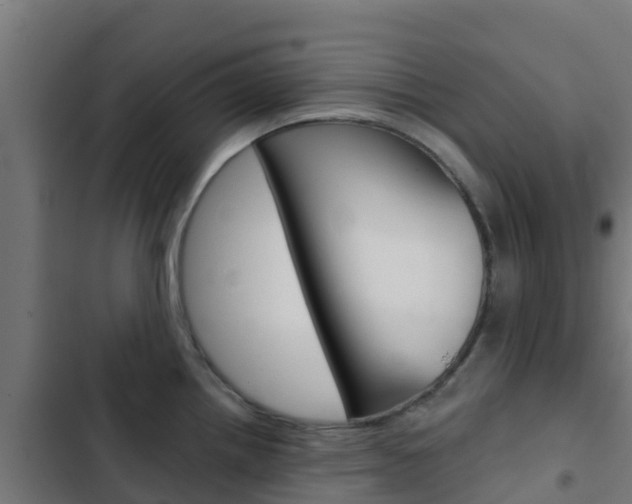 X0000103421242200809121005