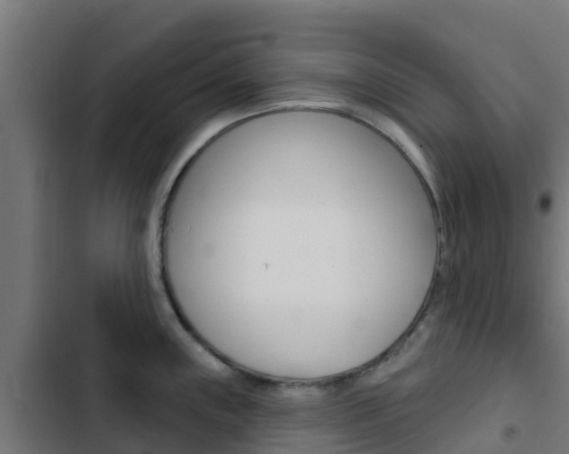 X0000103421243200809121005