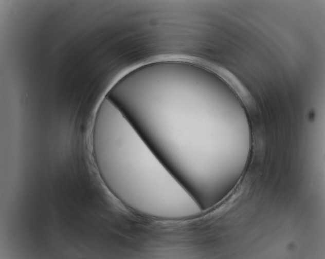 X0000103421244200809121005
