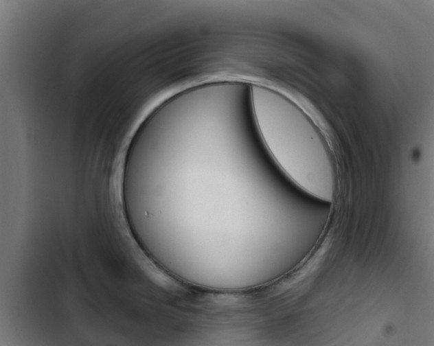 X0000103421246200809121005