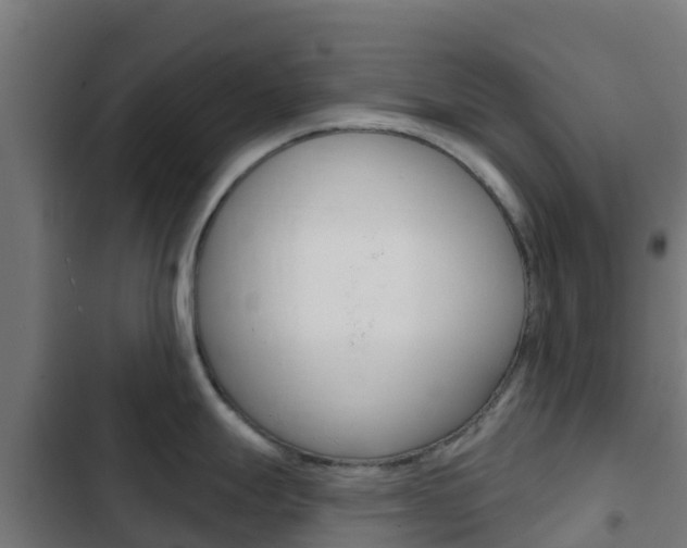 X0000103421247200809121005