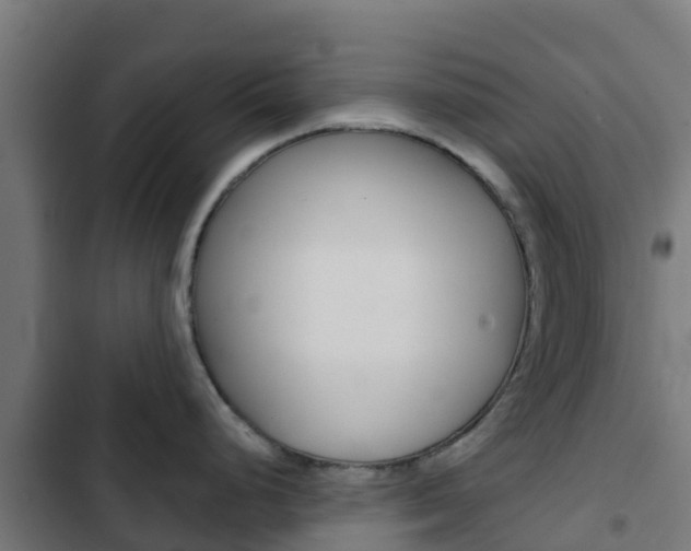X0000103421248200809121005
