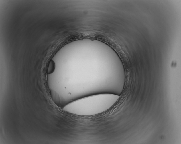 X0000103421249200809121004