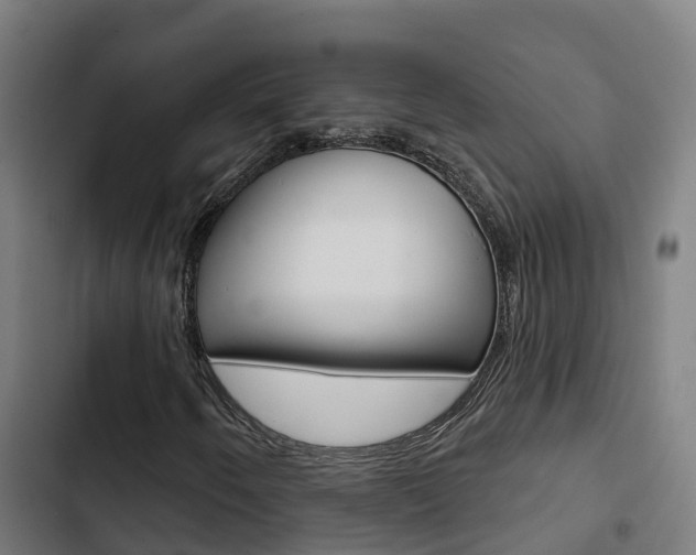 X0000103421250200809121004