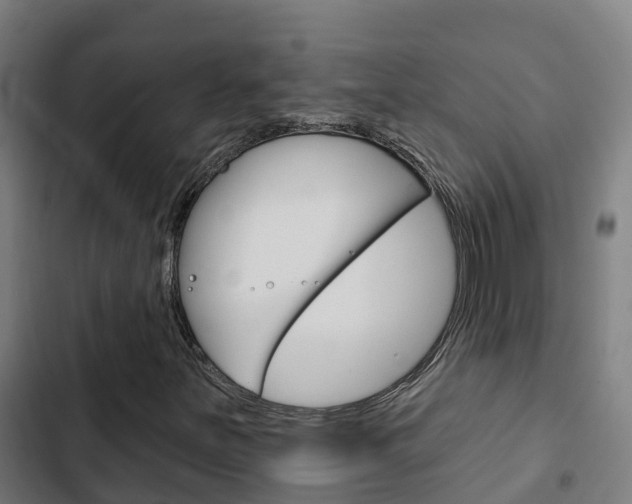 X0000103421251200809121004
