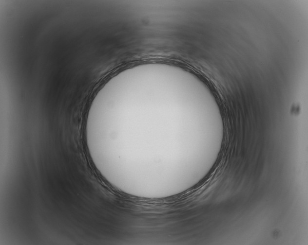 X0000103421252200809121004