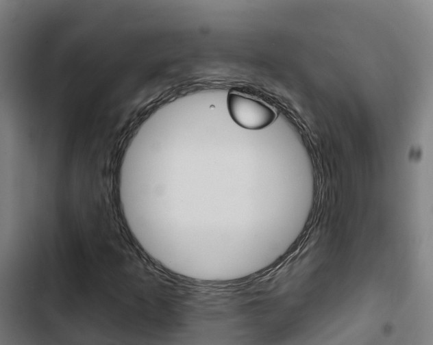 X0000103421253200809121004