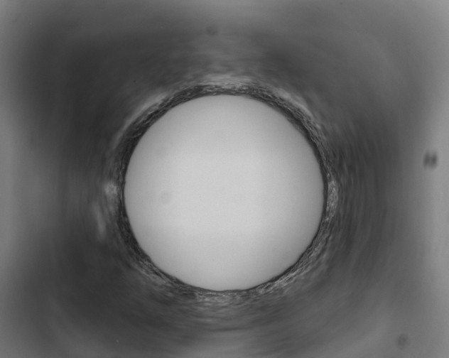 X0000103421254200809121004