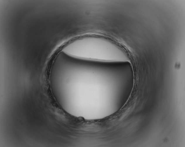 X0000103421256200809121004