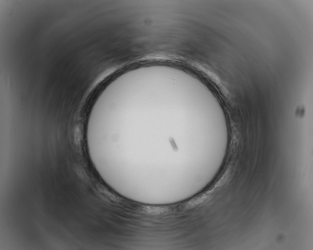 X0000103421258200809121004