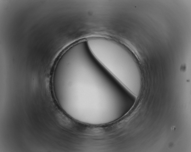 X0000103421260200809121004