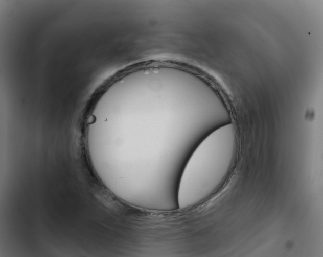 X0000103421263200809121004