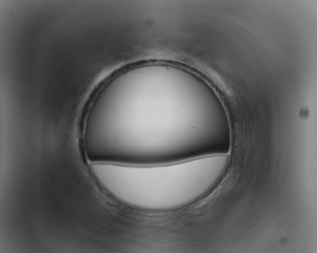 X0000103421264200809121004