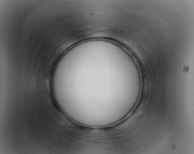 X0000103421265200809121004