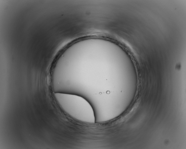 X0000103421267200809121004