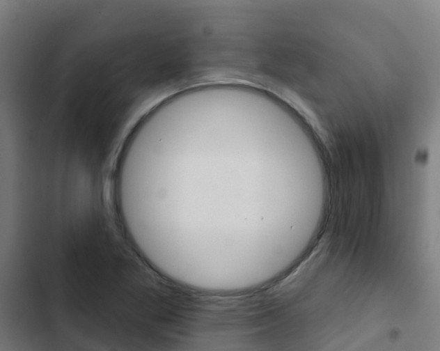 X0000103421269200809121004