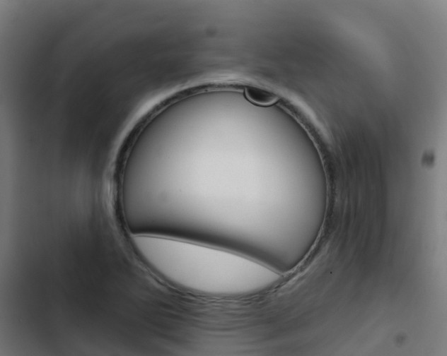 X0000103421270200809121004