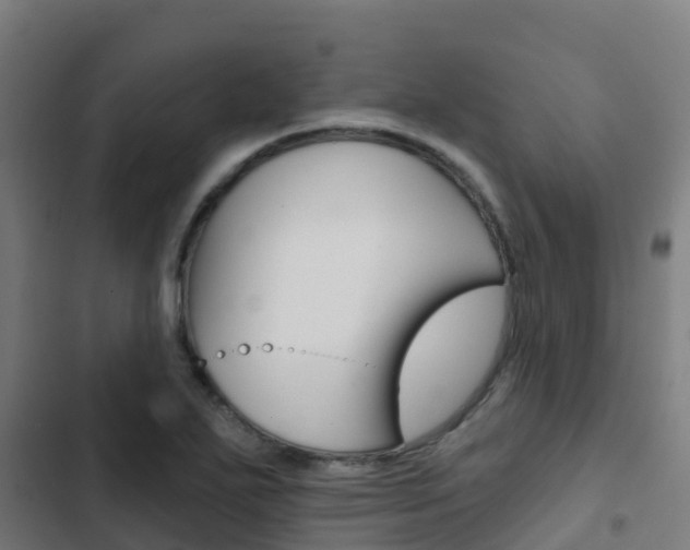 X0000103421271200809121004