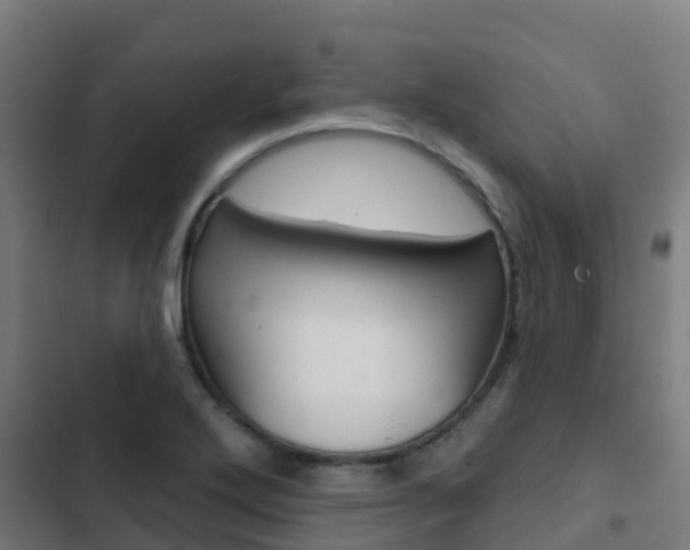 X0000103421272200809121004