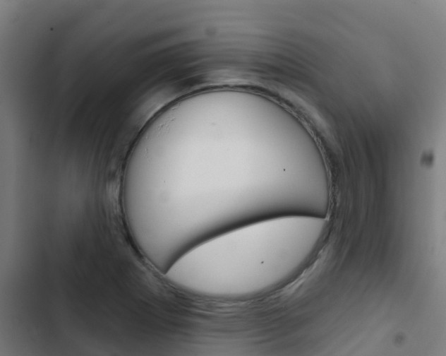 X0000103421273200809121004