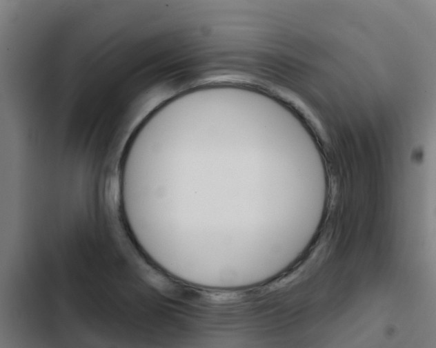 X0000103421274200809121004