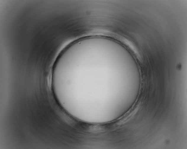 X0000103421275200809121004