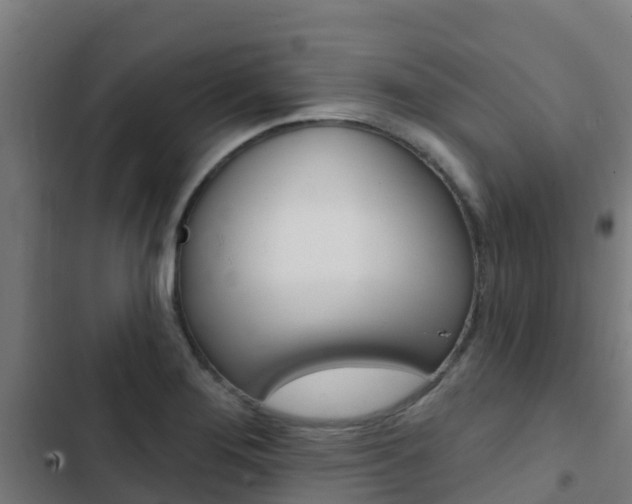 X0000103421276200809121004