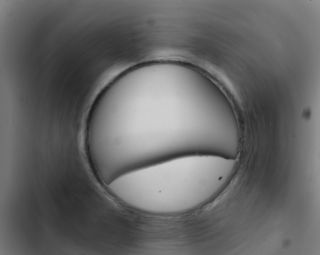 X0000103421277200809121004