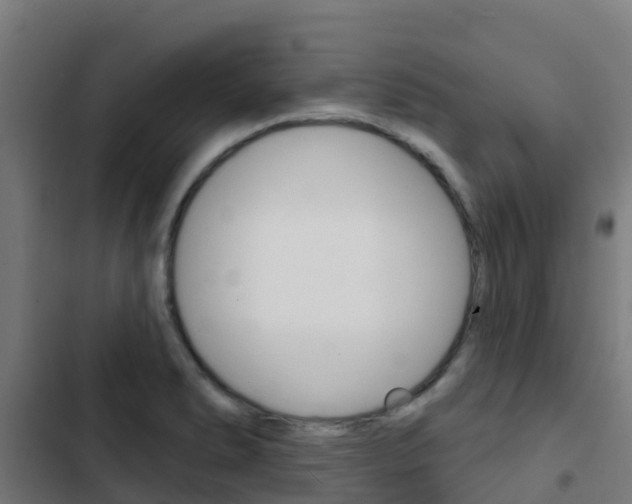 X0000103421278200809121004