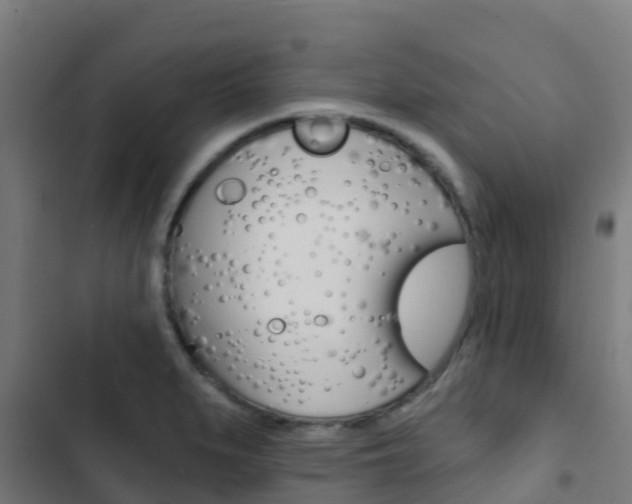 X0000103421279200809121004