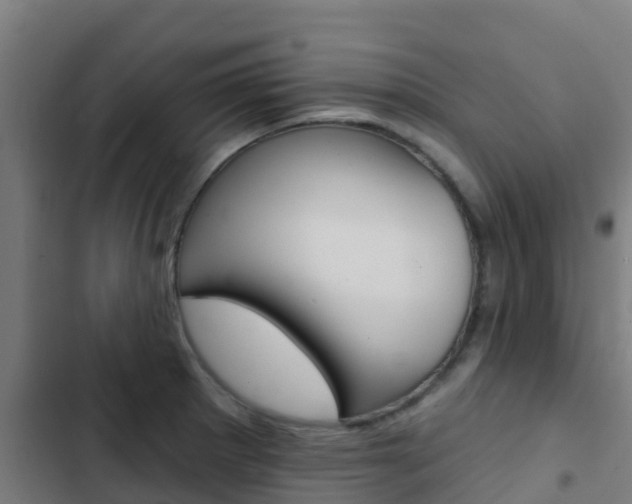 X0000103421281200809121004