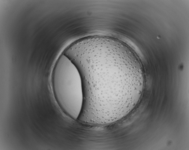 X0000103421283200809121004