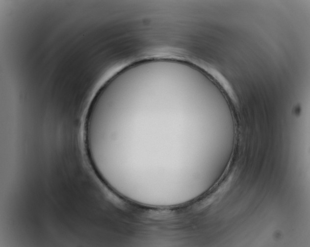 X0000103421285200809121004