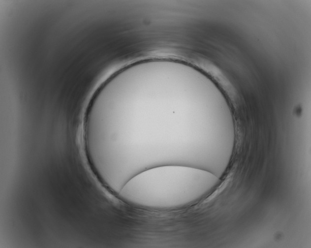 X0000103421286200809121004