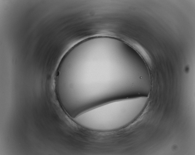 X0000103421292200809121004