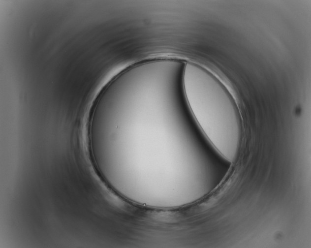 X0000103421293200809121004