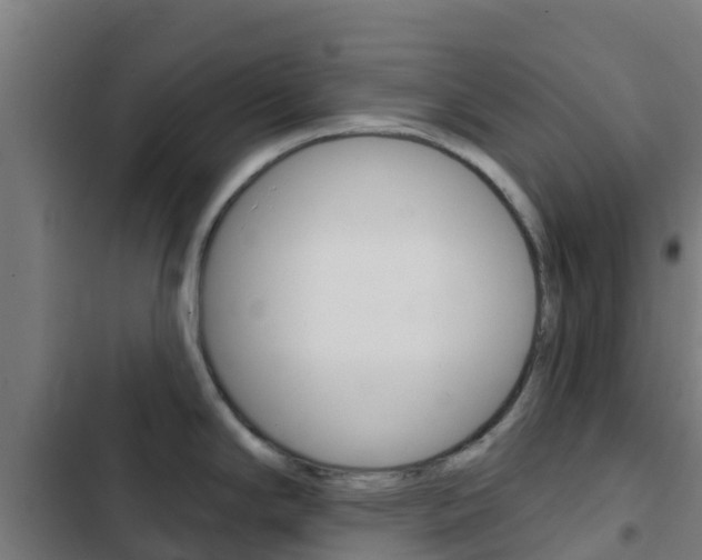 X0000103421294200809121004